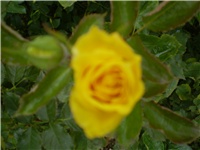 c3d74097-Picture 611.jpg